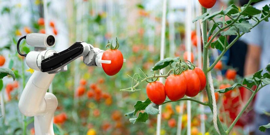 Agriculture